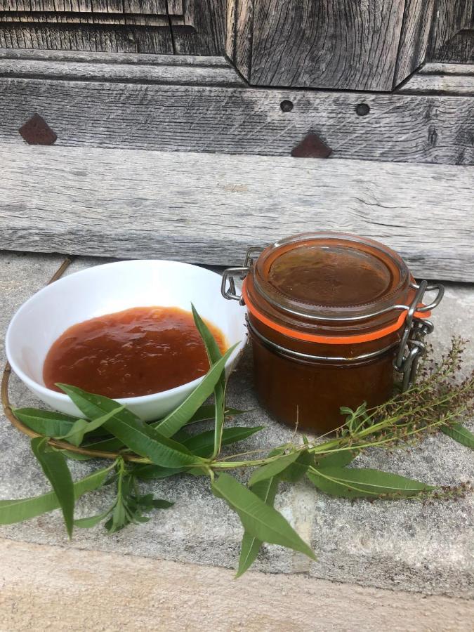 Maison Lou Roucas Cabrieres-d'Aigues Eksteriør billede